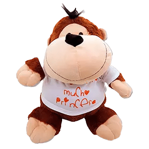 PELUCHES PERSONALIZADOS