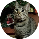 Alba Duarte profile picture