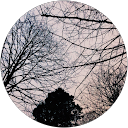 Ale Marcos profile picture